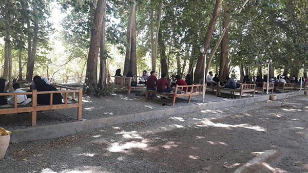 یزد فردا: روز ملی فیزیوتراپی مهریز یزد یزد فردا: روز ملی فیزیوتراپی مهریز یزد