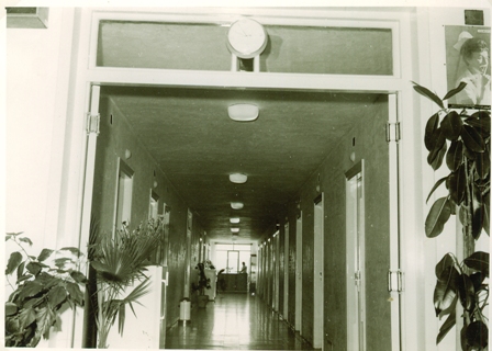 9- اولین زایشگاه خصوصی زنان وزایمان دریزد با پیشرفته ترین تجهیزات پزشکی در زمان افتتاح و اطلاعات پزشکی خود را در کتابی به نام از پنجه مریم تا جنین آزمایشگاهی برای استفاده علاقه مندان بچاپ رسانده ام یزد فردا : 1 9- اولین زایشگاه خصوصی زنان وزایمان دریزد با پیشرفته ترین تجهیزات پزشکی در زمان افتتاح و اطلاعات پزشکی خود را در کتابی به نام از پنجه مریم تا جنین آزمایشگاهی برای استفاده علاقه مندان بچاپ رسانده ام