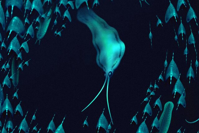 ماهی مرکب‌ ۵۰۰ میلیون ساله، کرم‌ درنده از آب در آمد!