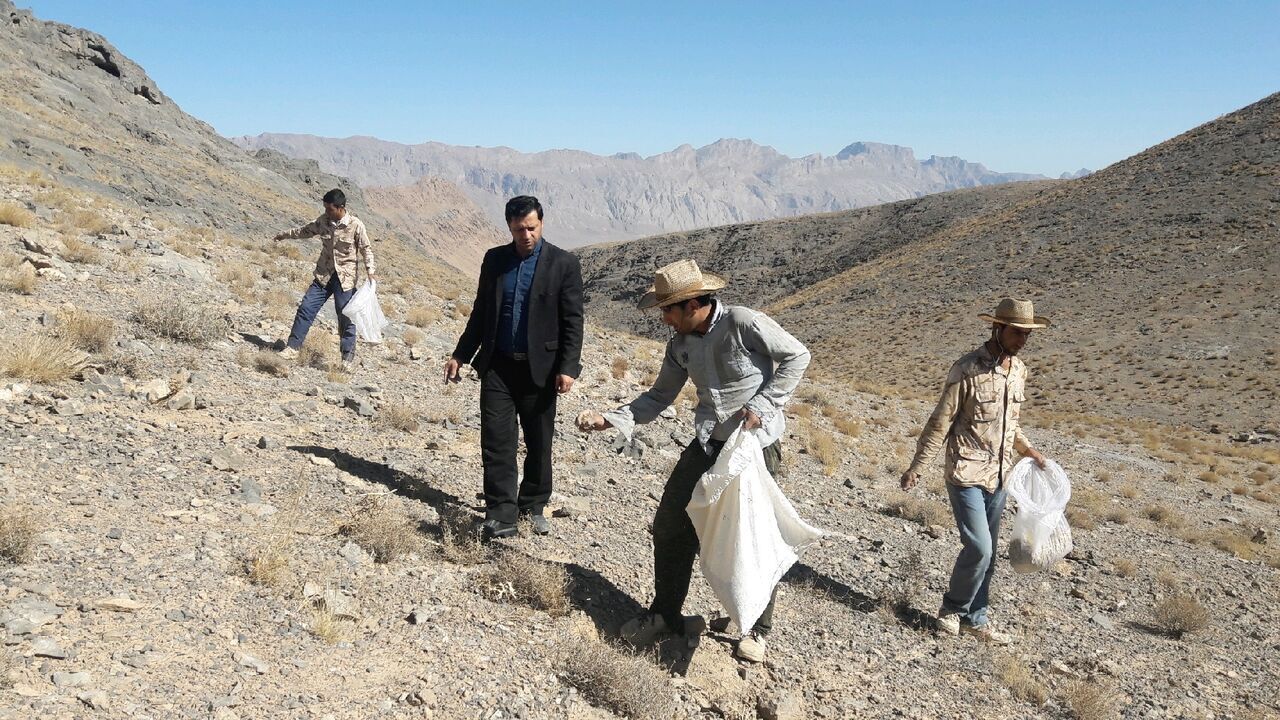 ۱۰ میلیارد ریال برای بذرپاشی مراتع ابرکوه تامین شد