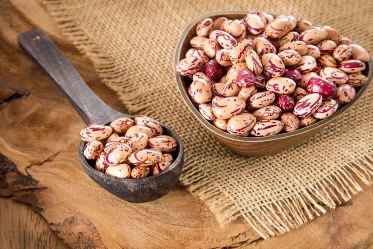 کاهش‌هاست که می‌ماند