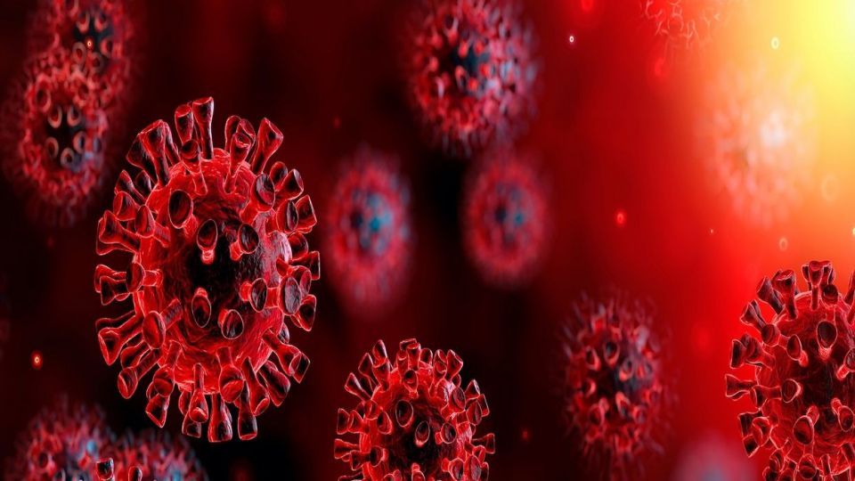  پیشتازی خیران یزدی در موج سوم کرونا 