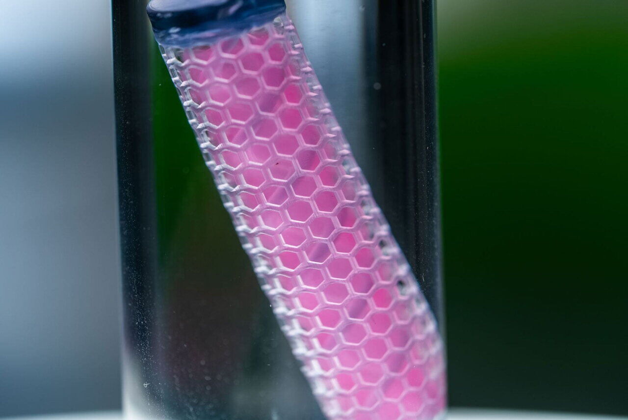 درمان سرطان در ۶۰ روز