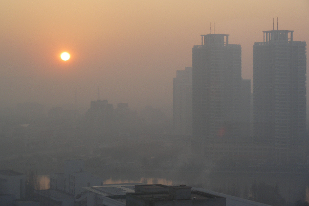 توصیه های تغذیه ای برای کاهش عوارض آلودگی هوا