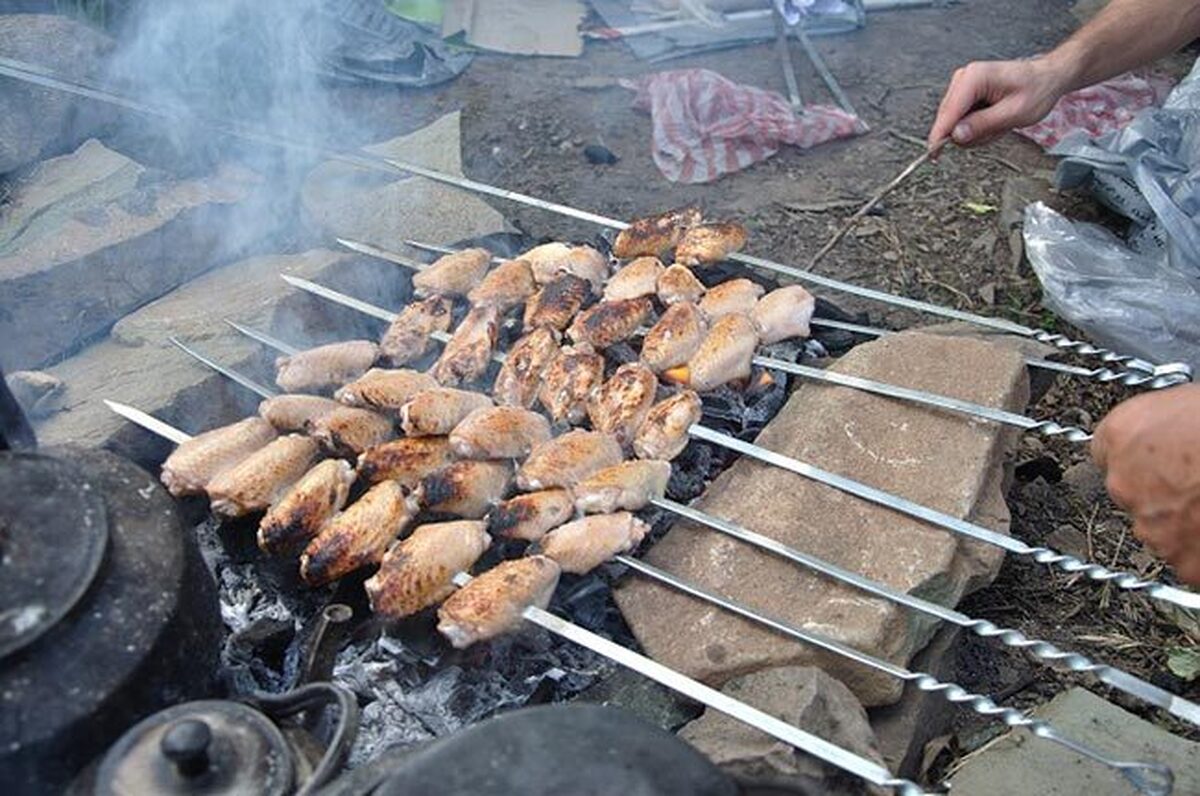 همه چیز درباره فواید و مضرات دنبلان گوسفند