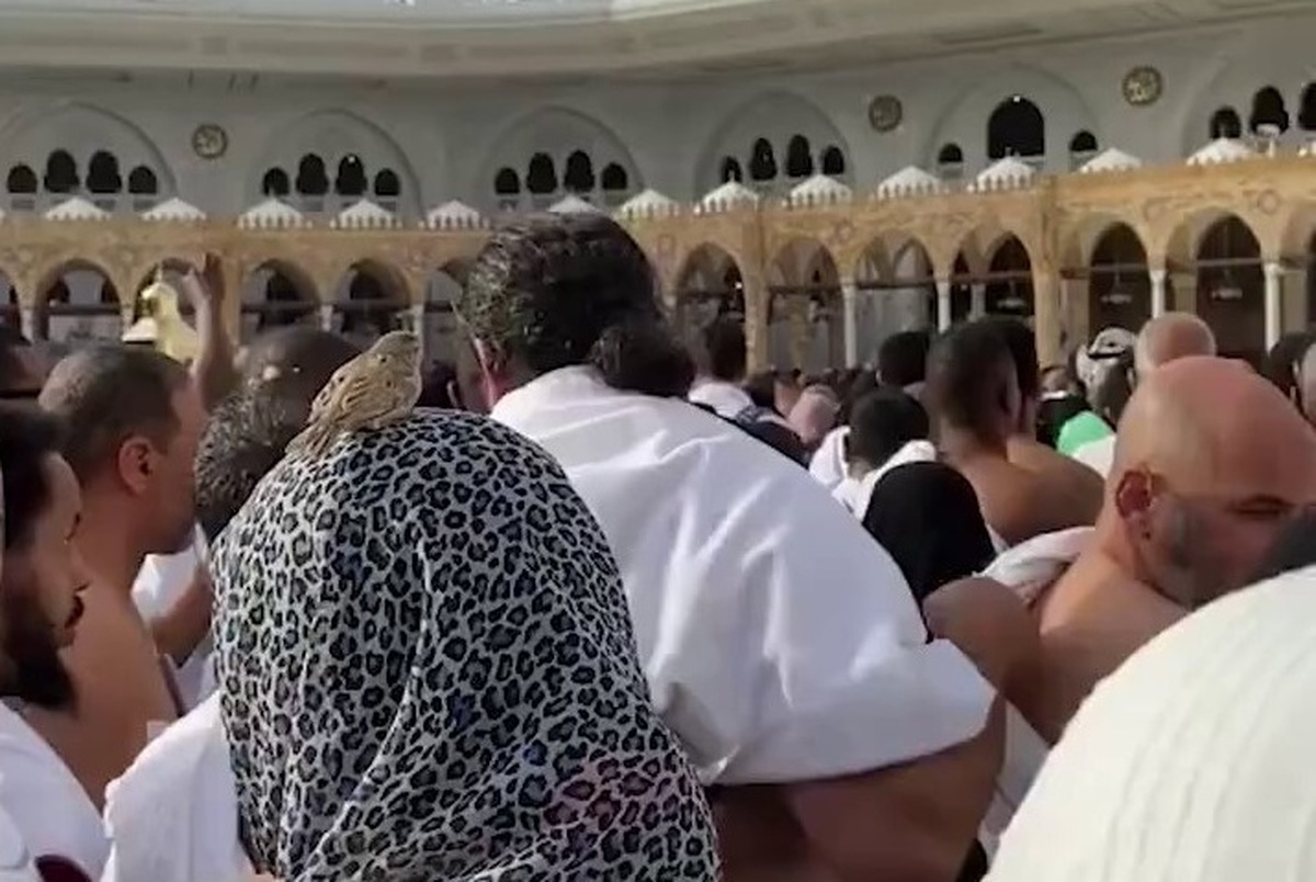 فیلم| نشستن گنجشک روی سر یک زن هنگام طواف کعبه