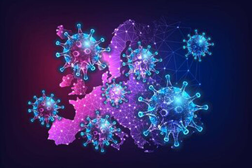 ۳۶ سرخوشه مبتلا به کرونای جهش یافته در یزد شناسایی شد