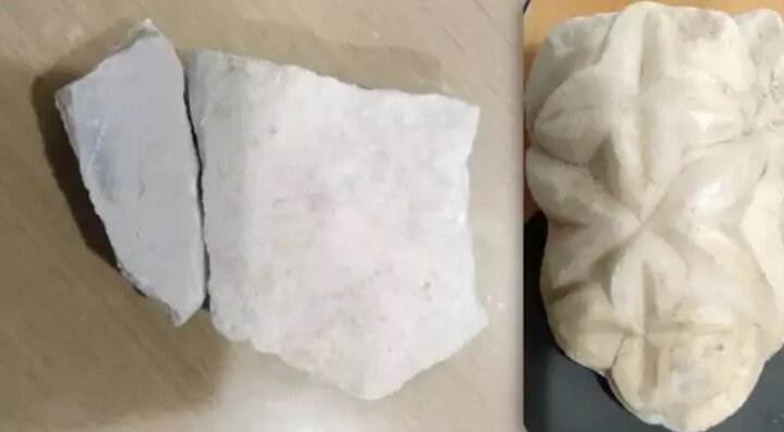 ماجرای زن گردشگر بلژیکی که در خطر حبس قرار گرفت