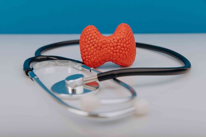 اگر تیروئید کم‌کار یا پرکار دارید، این غذاها را نخورید