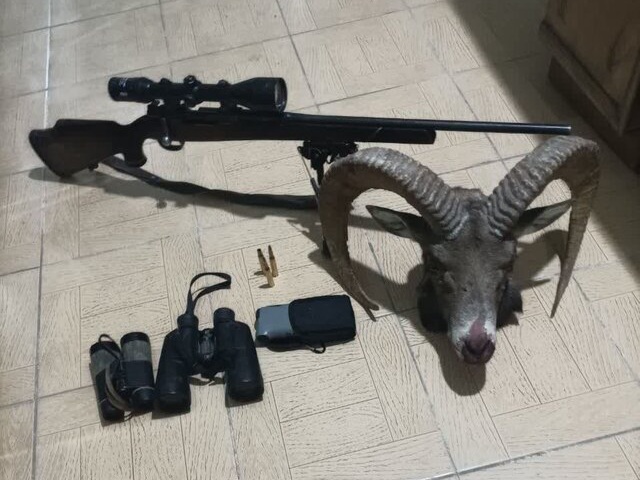 دستگیری ۳ شکارچی متخلف در رفسنجان