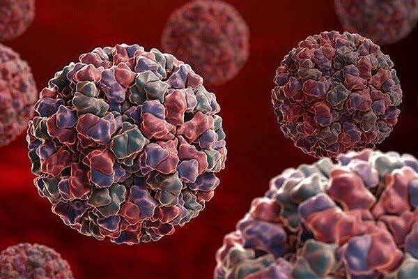افزایش کرونا در ایران؛ چرا باید مراقب سرماخوردگی و آنفلوآنزا باشیم؟