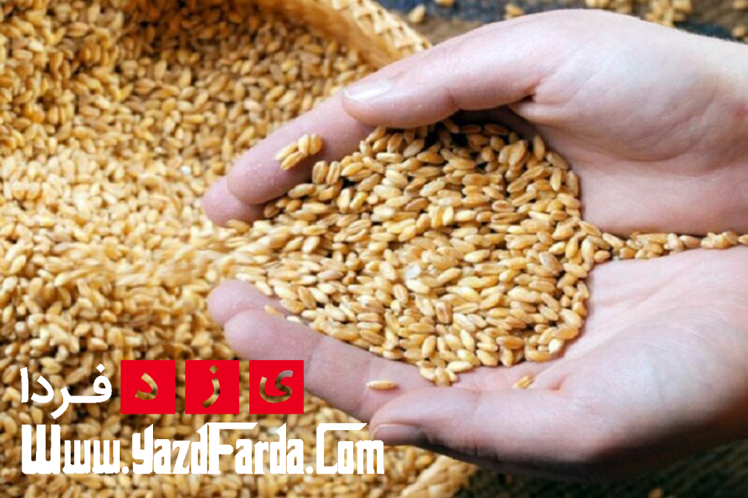 کشاورزان ابرکوهی ۴.۳ میلیارد ریال زکات پرداخت کردند