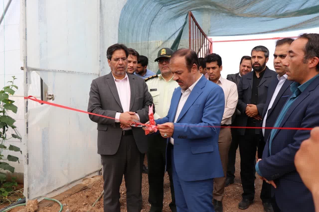 بهره برداری از گلخانه کشت محصولات صیفی