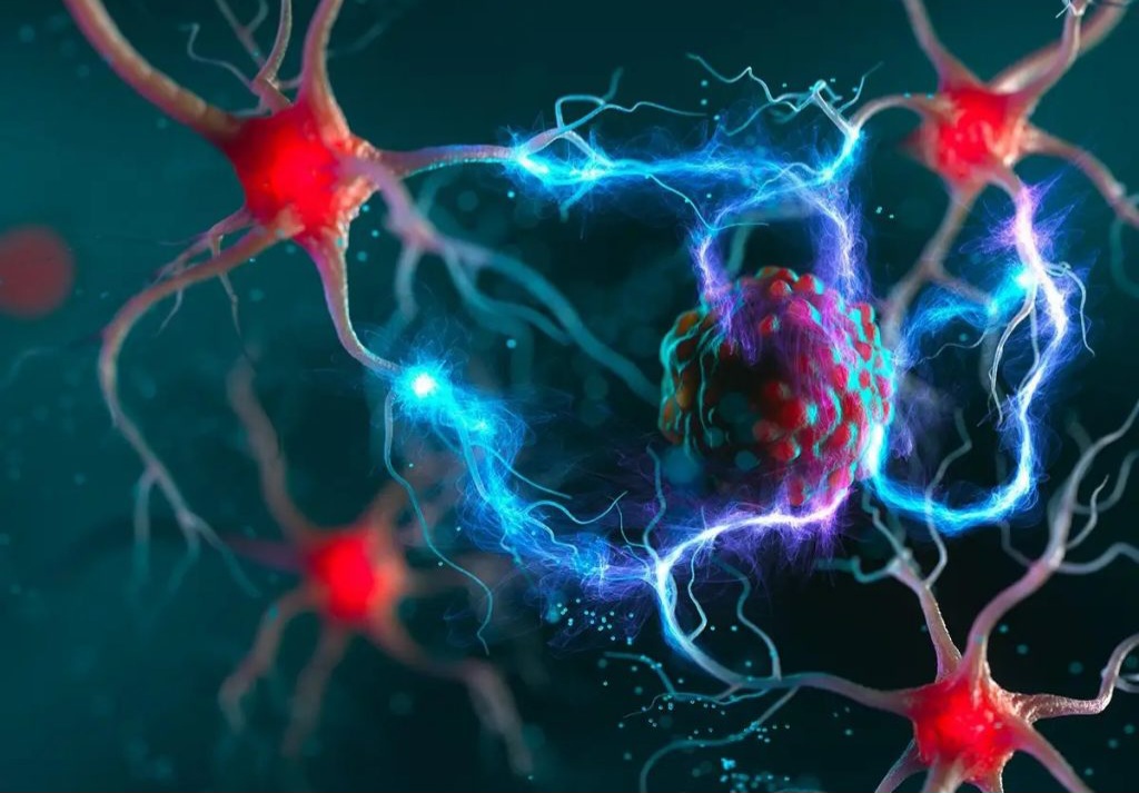 محققان علت اصلی مقاومت سلول‌های سرطانی به شیمی‌درمانی را کشف کردند