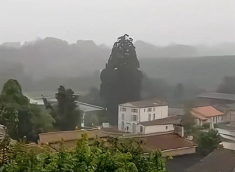 فیلم| پودر شدن یک درخت در اثر صاعقه در شهری در فرانسه