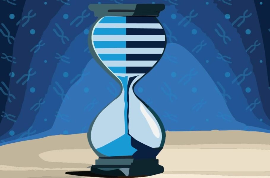 محققان پیچیدگی‌های جدیدی را درباره رابطه میان رژیم غذایی و سرعت پیری کشف کردند