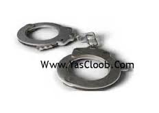 گذرنامه هاي جعلي مجوز عبور نبود! گذرنامه هاي جعلي مجوز عبور نبود!