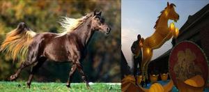 اسب های ایرانی هم چینی می شوند،مواظب شکستن اسب هایمان باشیم!!