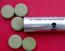 قرص برنج؛ آفت کش کشی که آمکش هم می شود