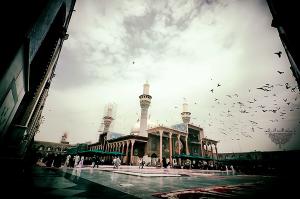 نامه هایی از امام جواد (ع) برای ما . . .