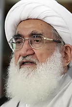 چرا اکثر امامزادگان به ایران مهاجرت می‌کردند؟