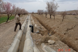 فرآوری گیاهان زراعی بهاباد مهمترین برنامه در دست مطالعه پروژه بین المللی منارید