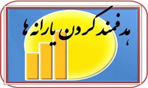  دولت مسئول پرداخت یا عدم پرداخت یارانه نقدی شد/ حذف دهک‌های پردرآمد