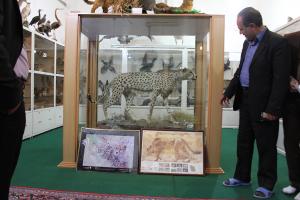 از ژرف در یاها تا کویر بهاباد