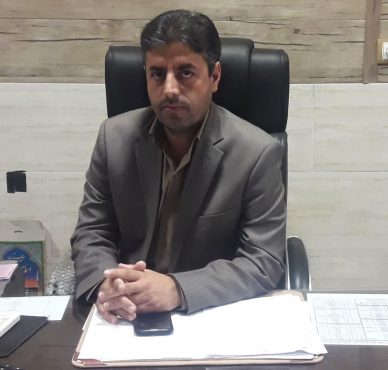 چهار هزار نهال تاغ در رفسنجان کاشته می شود 